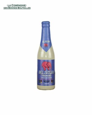 Bière Delirium Tremens VC 33cl