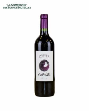 Vin Rouge Gaillac Domaine Rotier Esquisse rouge 75 cl