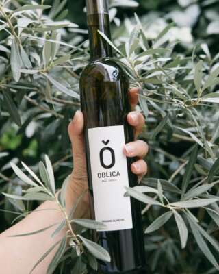 oblica 500 cl