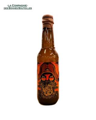 Bière IceBreaker Circle Preach- Architect series  1 - 33 cl