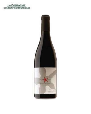 Vin Rouge Pic Saint Loup Le Chemin des Rêves L’Optimiste-2020- 75 cl