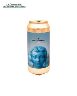 Bière Brasserie Garage- Journey space  TIPA- can 44cl