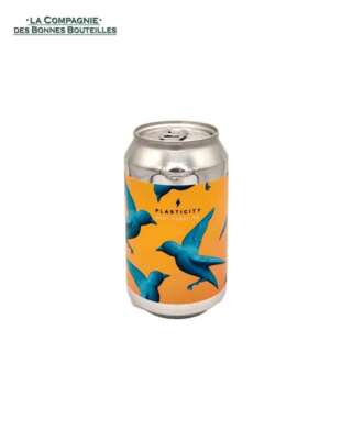 Bière Brasserie Garage- Plasticity- west coast IPA- Can 33cl