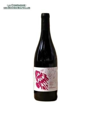 Vin rouge - Gaillac- Clos Rocailleux - Le Canon d’Andi  75 cl-2019