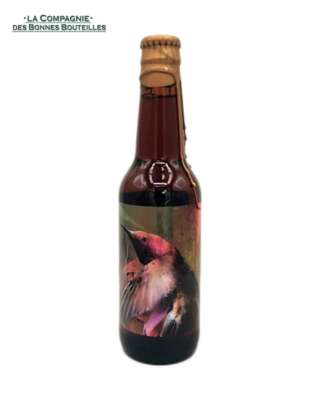 Bière Icebreaker Pégasus CAN 33cl