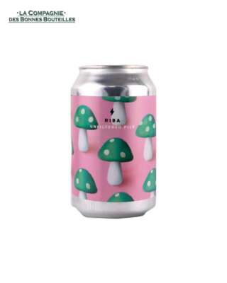 Bière Hoppy Road - Iguazu - Can 44 cl