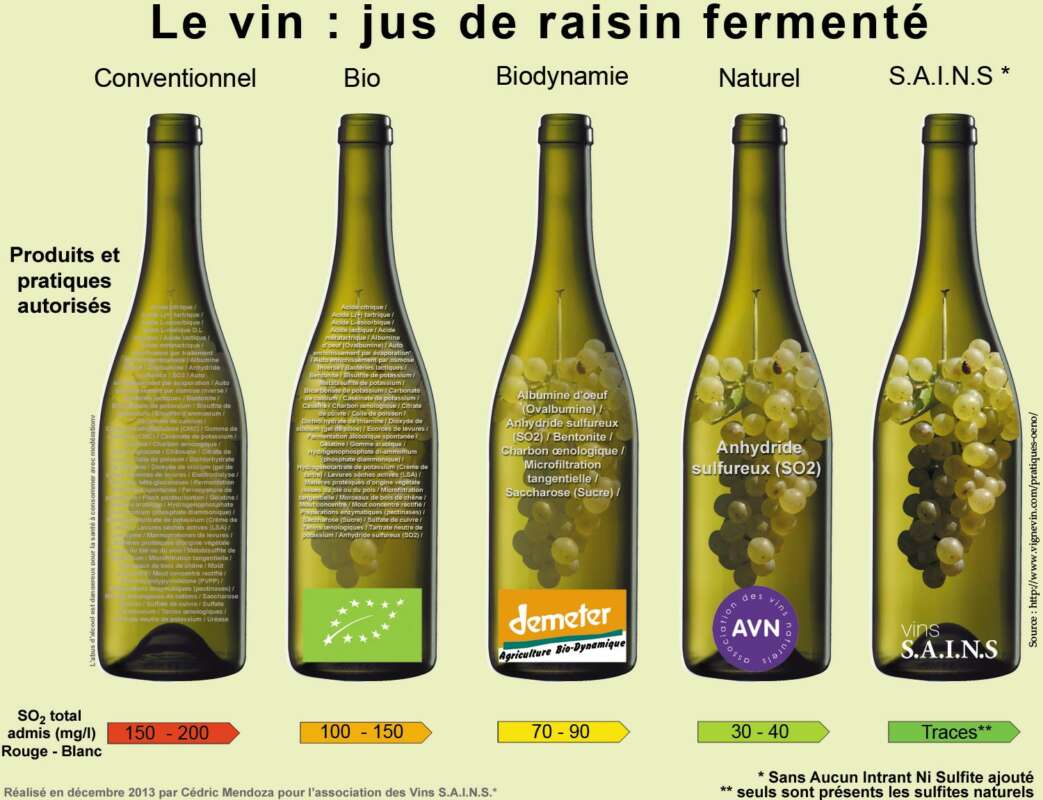 Vins bio, biodynamiques et naturels : Quelles sont les différences ?