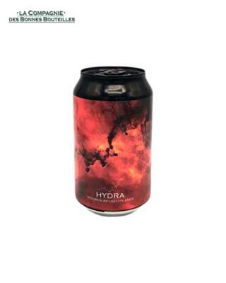 Bière Icebreaker Hydra CAN 33cl