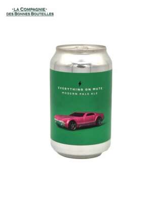 Bière Brasserie Garage - Everything on mute - pale ale Can 33cl
