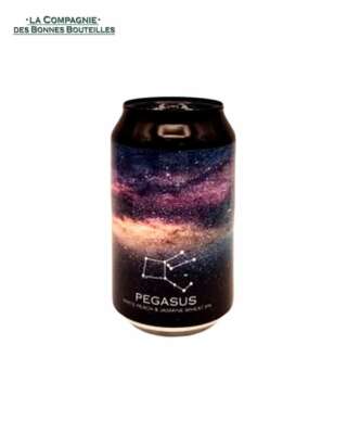 Bière Icebreaker Pégasus CAN 33cl
