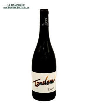Vin Rouge Domaine de Brousse Tandem 2021 75 cl