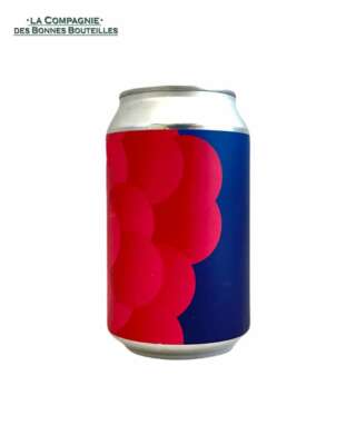 Bière P'tite Maiz - Just Berried - 33cl Can