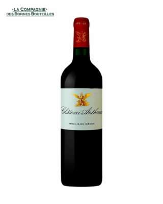 Vin Rouge - Château Anthonic - Moulis-en-Médoc - 2016 -  75cl