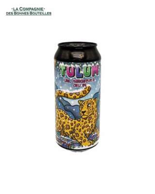 Bière IceBreaker WINTER IN TULUM - édition limitée  44 cl