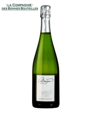 Méthode Ancestrale- Domaine Plageoles - Mauzac Nature 2020 - Gaillac 75cl