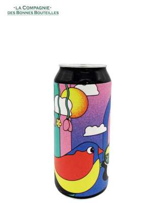Bière Icebreaker - Mosaic from the masses - Double NEIPA 44 cl