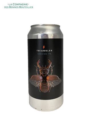 Bière Brasserie Garage- Triangles - Session IPA- Can 44cl