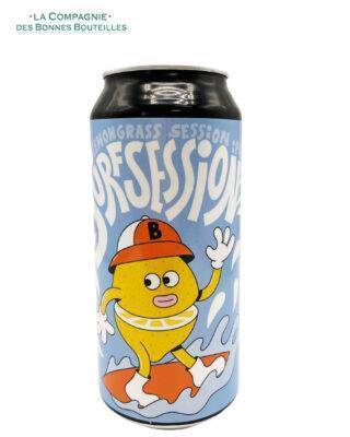 biere surfsession lemon ice breaker